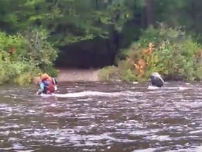 shown ten feet further down the river trying to get out of the water